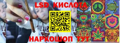ПСИЛОЦИБИНОВЫЕ ГРИБЫ Конаково