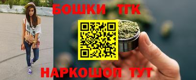 индика Комсомольск-на-Амуре